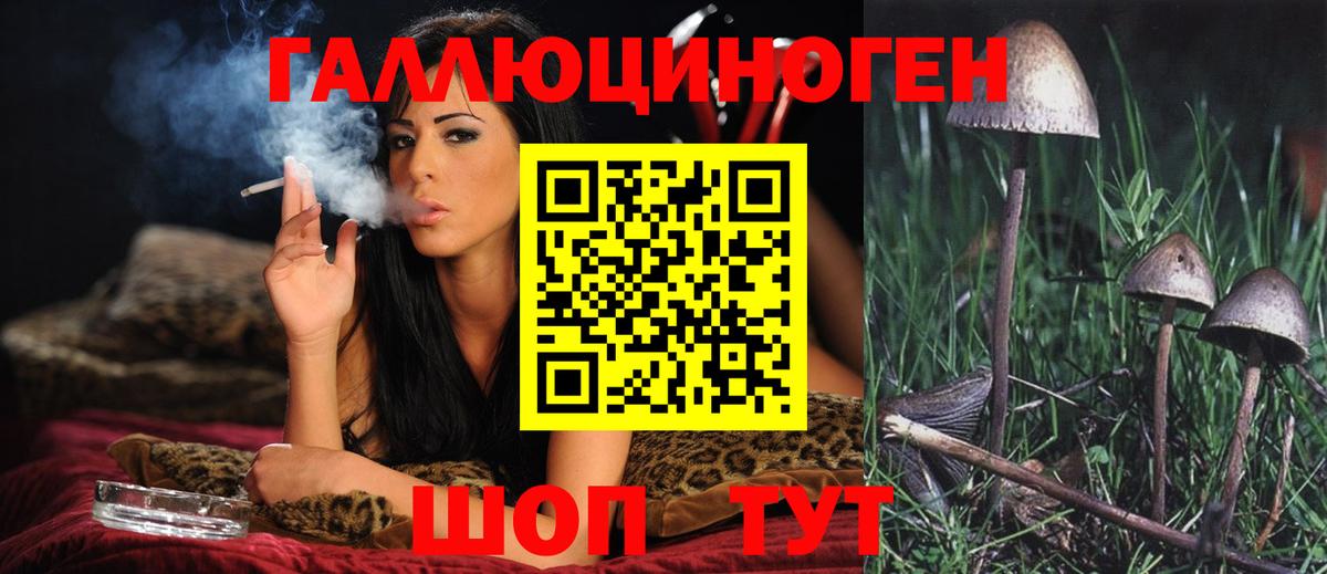 Псилоцибиновые грибы прущие грибы  Вход с VPN  Киржач 